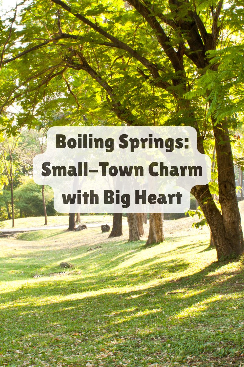 Sunny park scene with tall trees and open green space representing the welcoming community of Boiling Springs, South Carolina.
