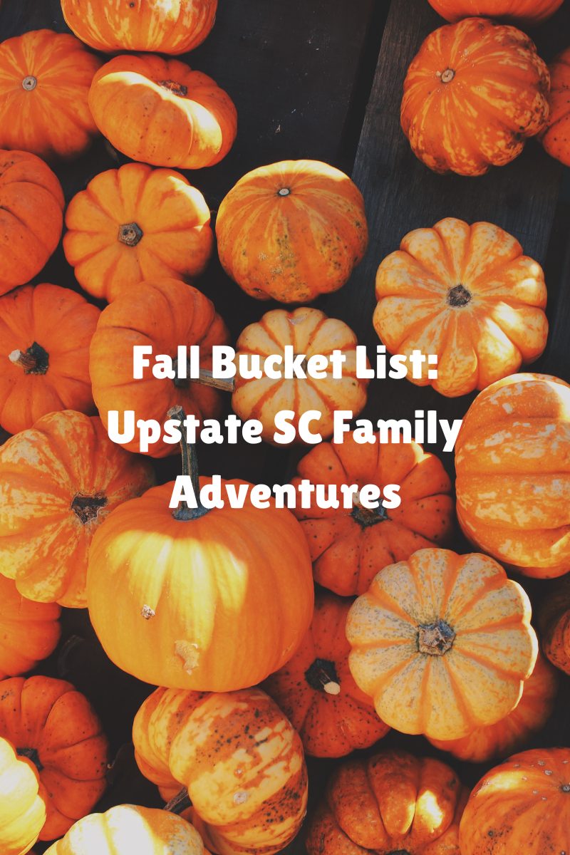 Bright orange pumpkins arranged on a rustic wooden surface, representing fall family adventures in Upstate South Carolina